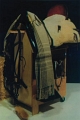 CARRO MONTURA